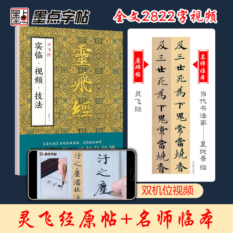 灵飞经实临视频技法