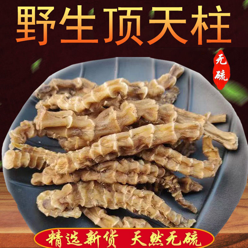 顶天柱云南野生顶天柱泡茶不老草回阳草起阳草炖汤泡酒 云南野生