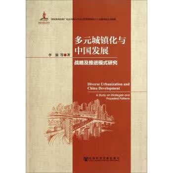 多元城镇化与中国发展