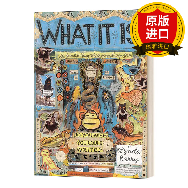 英文原版 What It Is 这是什么 精装 英文版 进口英语原版书籍