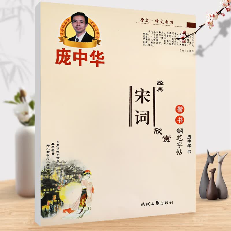 庞中华经典宋词欣赏楷书钢笔字帖 庞中华钢笔字帖 正楷硬笔书法字