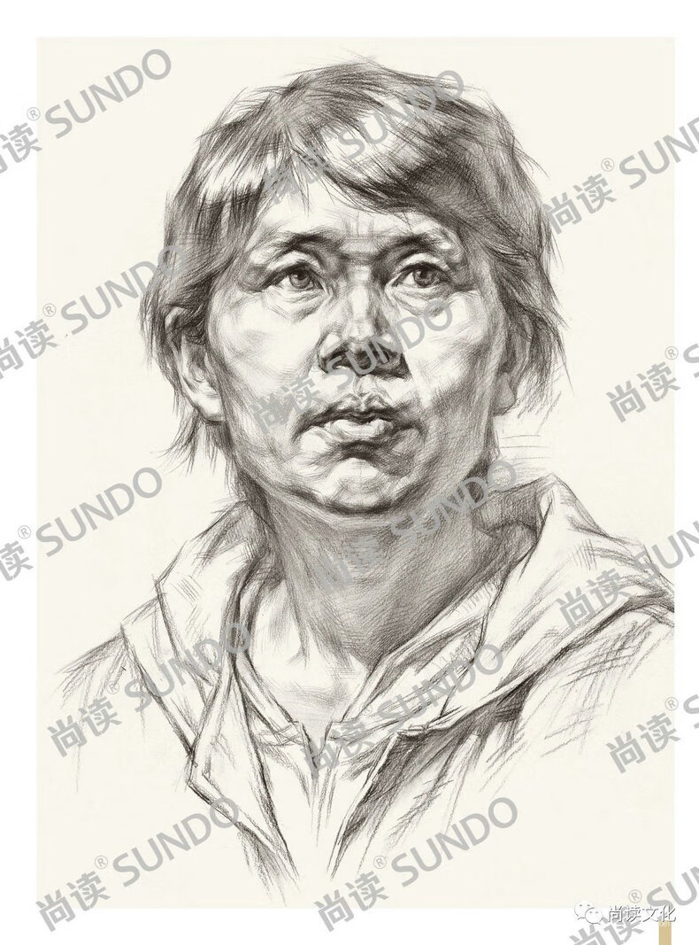 头像结构全解析素描头像一本通 2023尚读人物头像基础起形结构大关系