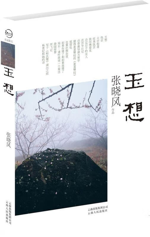 玉想 张晓风【书】