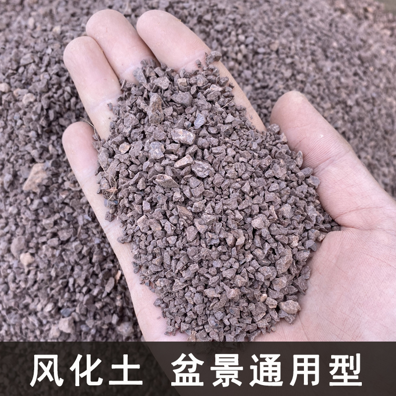 clcey金弹子风化土 多肉颗粒土铺面石石谷子通用型酸性多肉颗粒兰花用