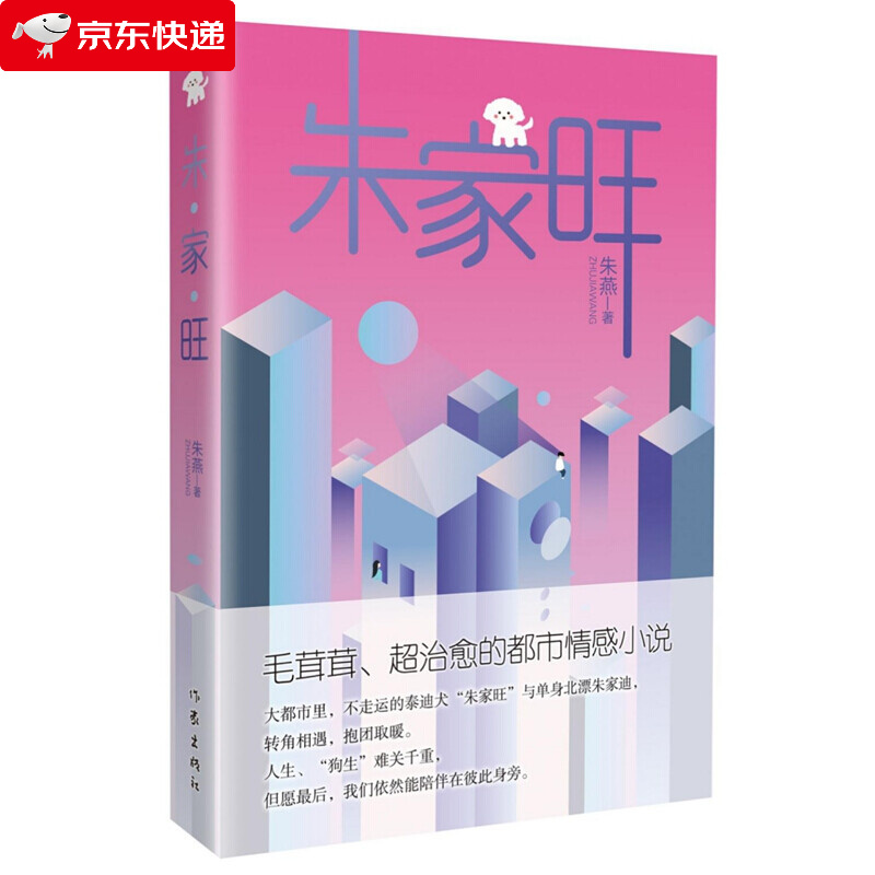 朱家旺超治愈的都市情感小说文学畅销青春文学小说书籍