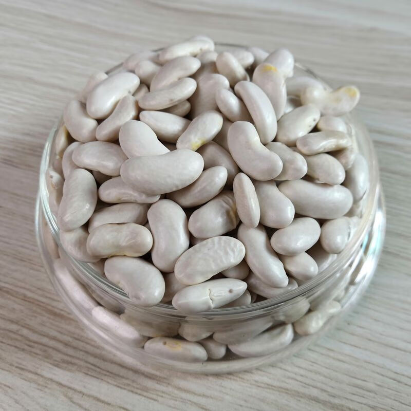 味巴哥白腰豆二白豆 白芸豆酸菜豆米干四季豆饭豆扁豆2500g