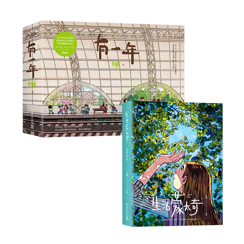 有一年+生活蒙太奇（套装全2册 知名插画师天然的插画作品集合辑）属于什么档次？