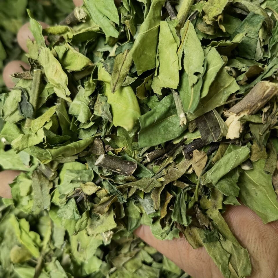 驳骨消,小驳骨 接骨草 尖尾风 干货 500克【嘉万滋补品 500克