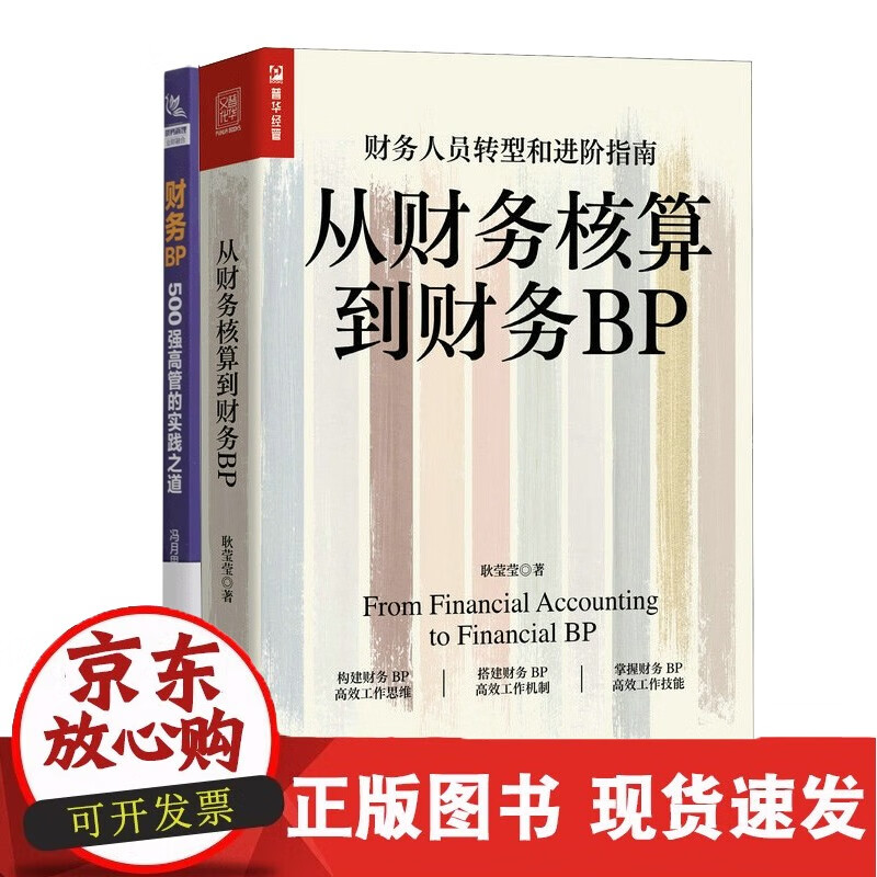 财务BP+从财务核算到财务BP 共2册