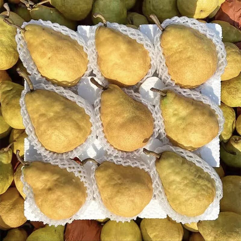 佑嘉木山东烟台吃软不吃硬丑梨老婆梨太婆蜜梨软糯香甜 单果200g以上 净重4.5斤普通装中果