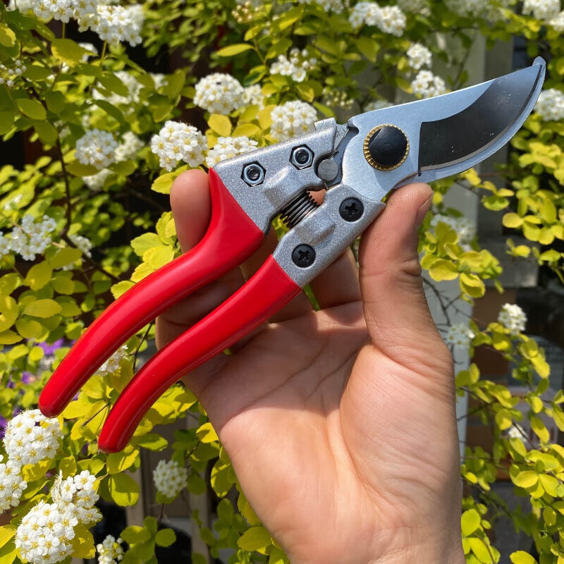 葵耀二兔子爸园艺修枝剪园林嫁接果树修剪粗枝剪省力家用树枝剪 红色