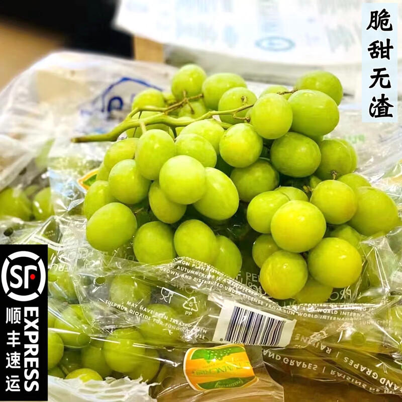 玫栀澳洲甜地球无籽青提2斤秋天脆当季新鲜水果提子葡萄特别脆甜顺丰