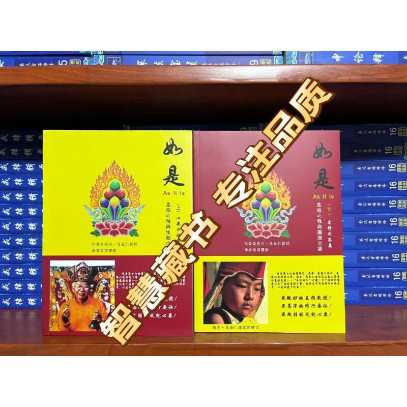 乌金仁波切 直指心性与生起圆满次第实修口诀  实图拍摄