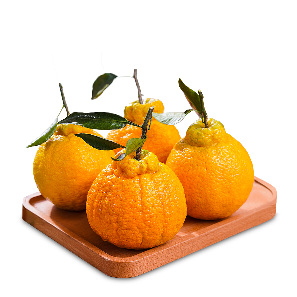 �����Ĵ���֪����� 4.5�� ����70mm+������������ˮ��Դͷֱ�� 99.5Ԫ��5��(��19.9Ԫ/��)