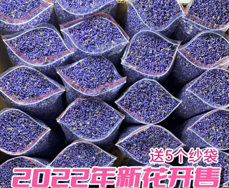 新疆薰衣草干花粒 薰衣草干花粒熏衣草干花散裝天然衣柜汽車香包枕頭助眠新疆 5A級1斤+空紗袋10個 熏衣草