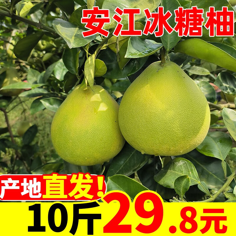 ����������ϻ���ѩ����������ʻ�����������С�����Ӱ��������ִ��� 9�� �����4.5��4-5�� 9��8-9���� 35.8Ԫ