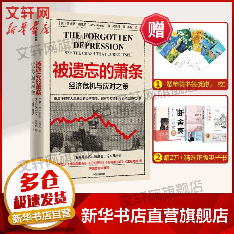 被遗忘的萧条：经济危机与应对之策 图书