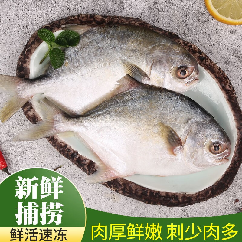 选择【珍鲜基】品牌，带您开启鱼类美食之旅！|手机怎么看鱼类价格曲线