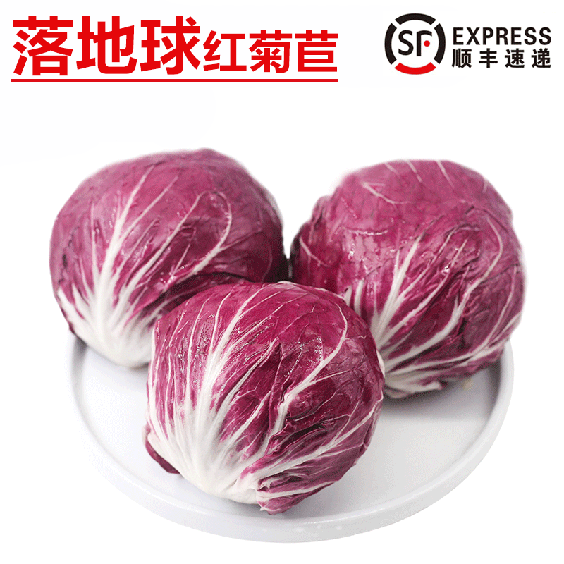 旷古农业【顺丰】新鲜落地球生菜 红叶包菜紫苣 红菊苣 沙拉蔬菜球