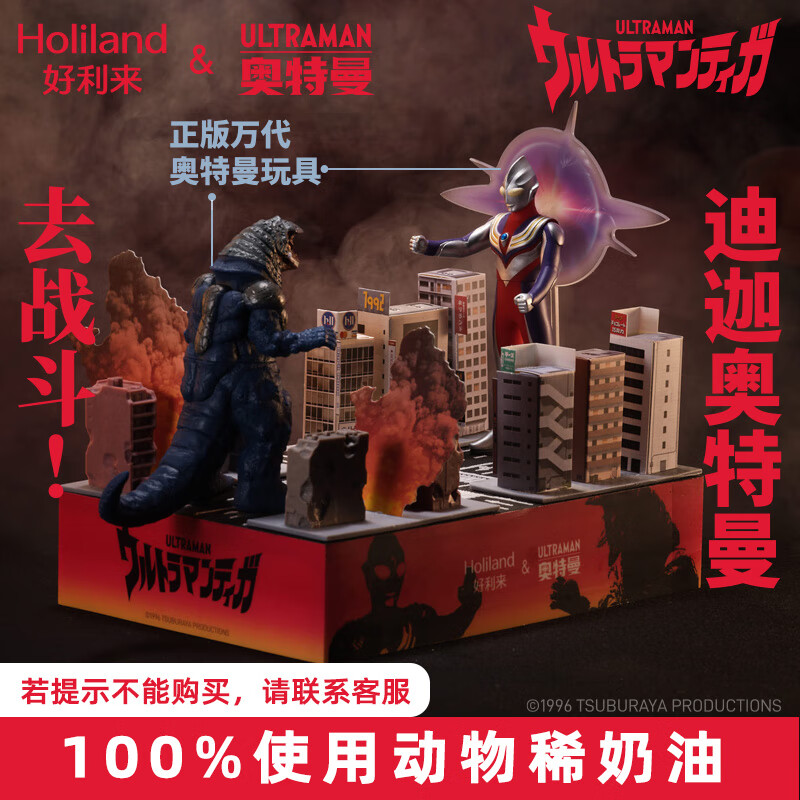 ������ ���������������յ��� ���Ȱ���ζ����Ľ˹ 24X16X5cm