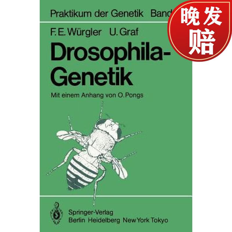 【4周达】drosophila-genetik