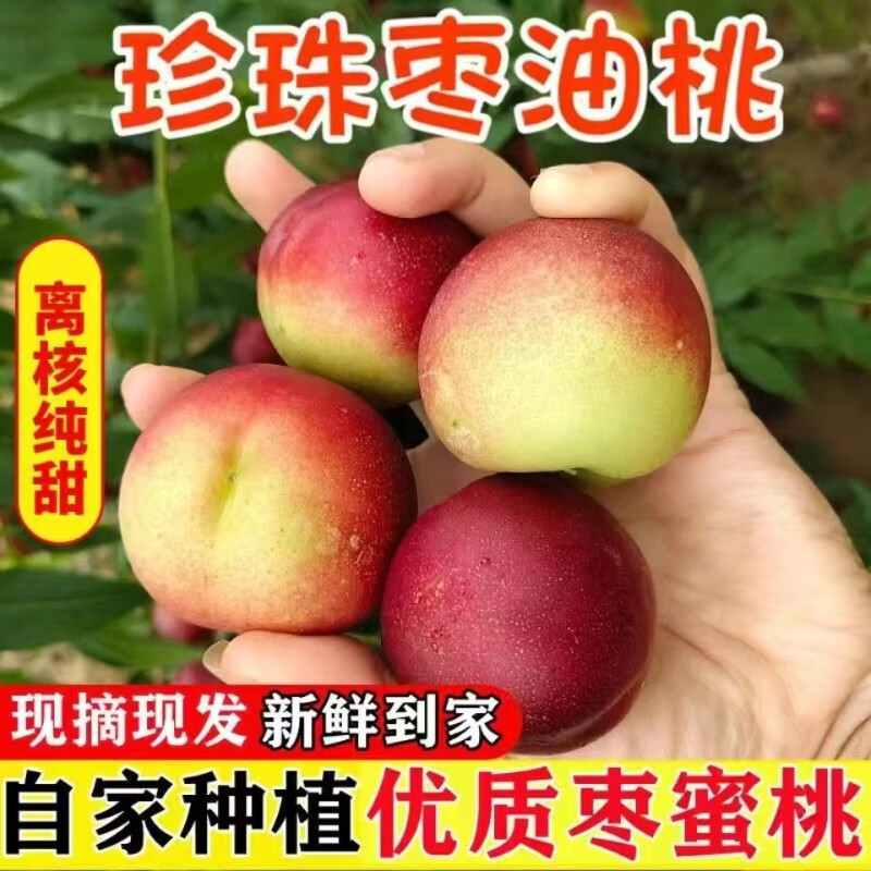 鹏翔宇【顺丰包邮】正宗珍珠枣油桃脆甜枣桃油桃枣蜜桃整箱新鲜应季水果 早熟珍珠枣油桃【白核微酸半离核】 净重4.5-5斤【店长推荐】