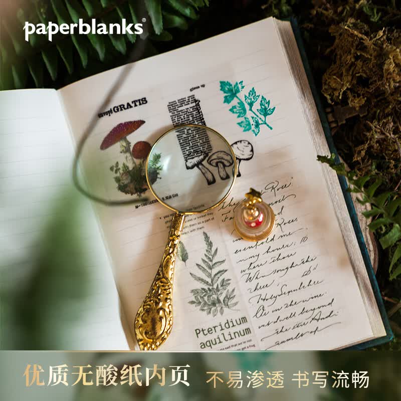 paperblanks佩兰克笔记本绿松石年代记进口本复古手帐本日记本欧式商务高档记事本子文具送男朋友同学生日礼物 【硬壳】绿松石年代记/大本/横线