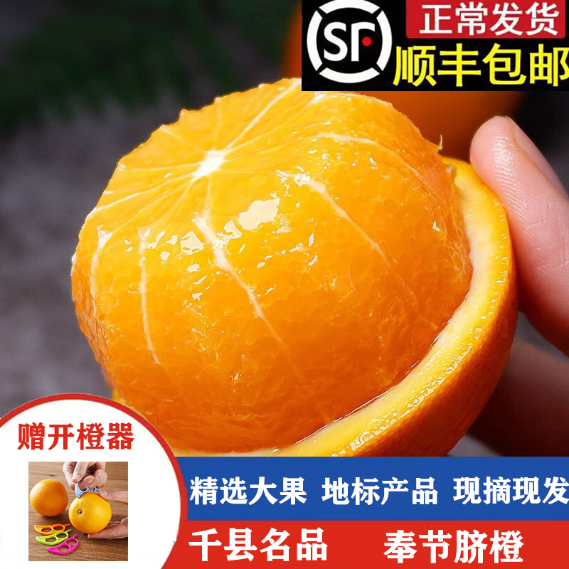 逮果重庆奉节脐橙纽荷尔橙子新鲜孕妇水果生鲜甜橙冰糖橙子礼盒装 奉节脐橙10斤礼盒装（75-80）