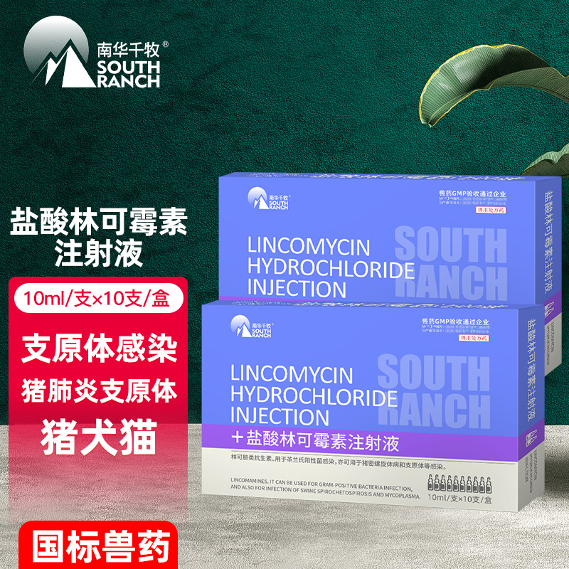南华千牧盐酸林可霉素注射液兽用兽药猪犬猫抗生素支原体感染 3%盐酸