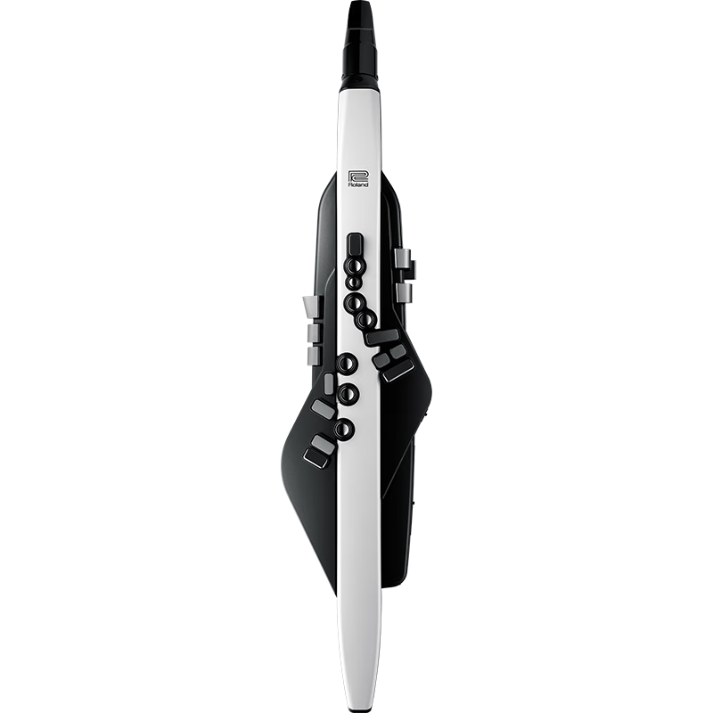 羅蘭（Roland）Aerophone AE-20 電吹管自帶揚(yáng)聲器 電子吹管樂器薩克斯 AE-20+贈笛頭