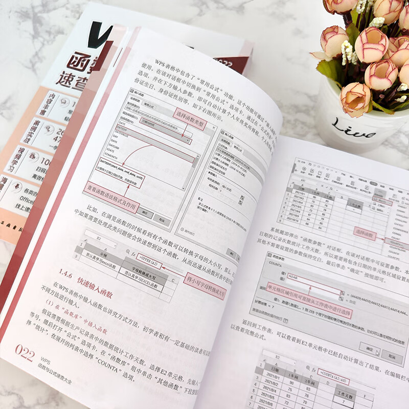 WPS函数与公式速查大全