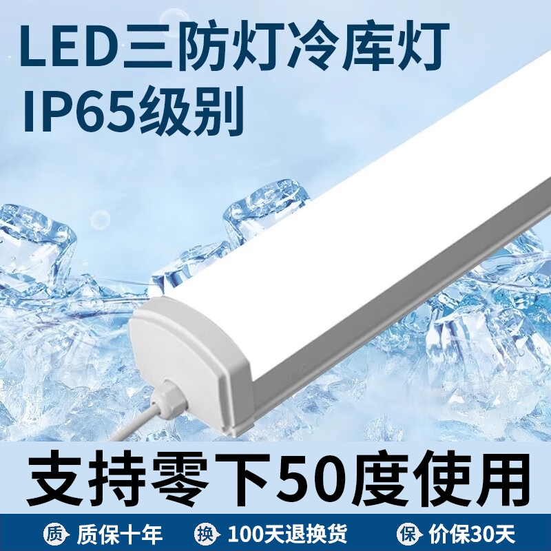 拉伯塔IP65防水灯管防潮车间冷库浴室led户外工程照明灯LED三防灯长条灯 0.3m10W-IP65防水灯管
