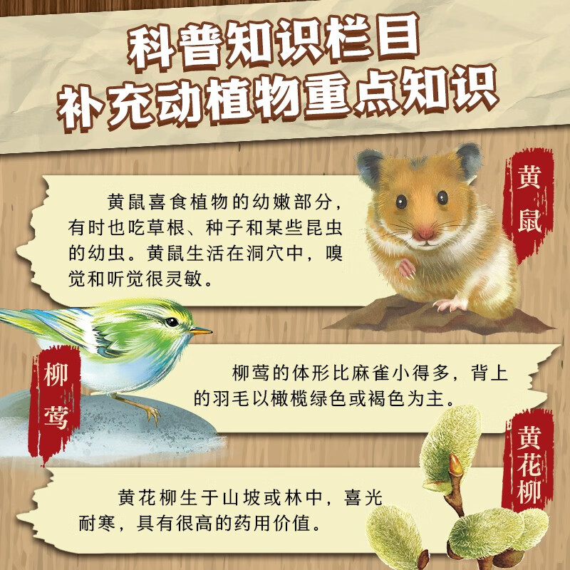 森林报·科普彩绘注音版：全4册详情图