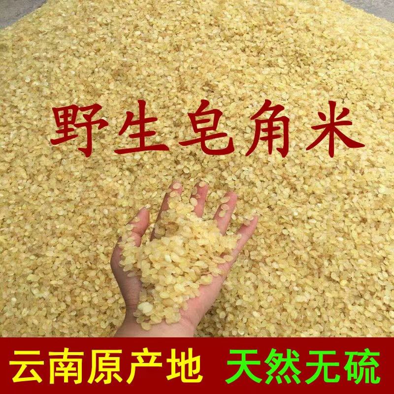 無(wú)糖無(wú)硫野生皂角米無(wú)添加云南特產(chǎn)非雙莢雪蓮子可搭桃膠雪燕 500克