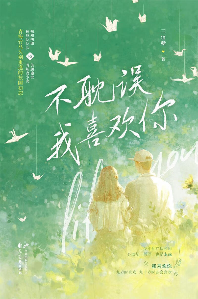 不耽误我喜欢你青春文学 岁青少年读者图书