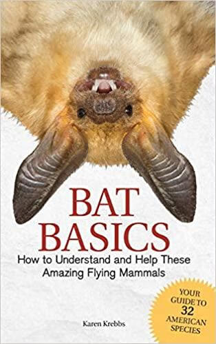 预订Bat Basics