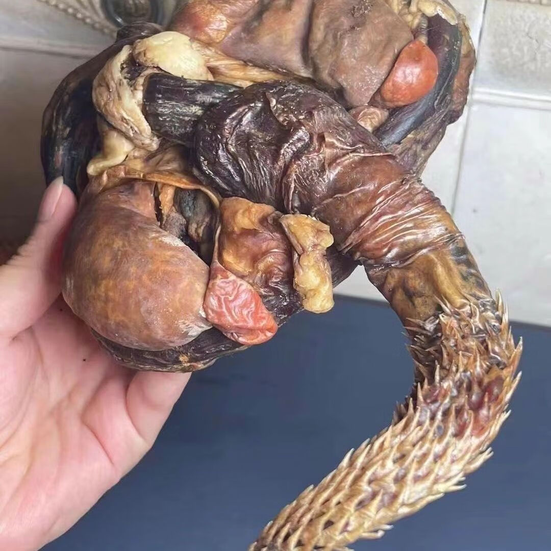 尔娅贝牦牛鞭西藏牦牛鞭干整枝整根干货毛牛鞭风干羊鞭 一只整牛鞭200