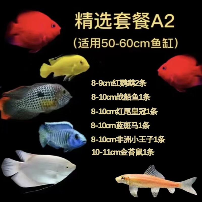 手机怎么看水族活体价格曲线|水族活体价格走势图
