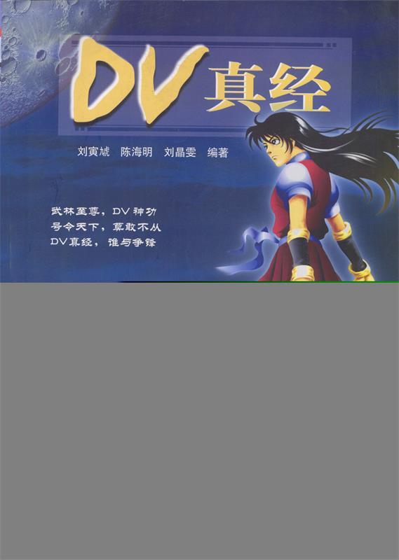 DV真经