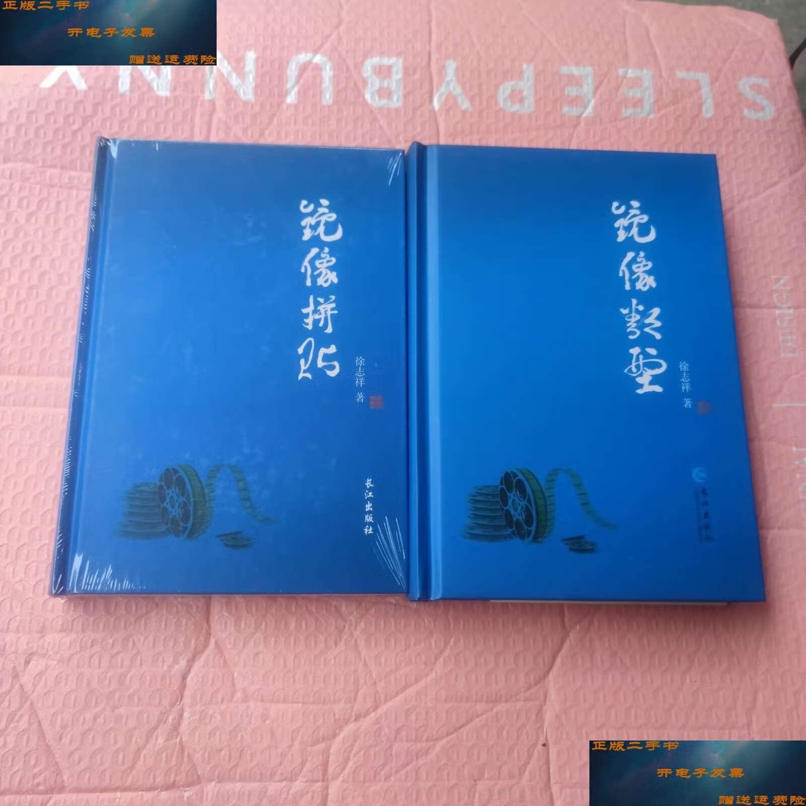 【二手9成新】镜像类型十镜像拼贴 /徐志祥 长江
