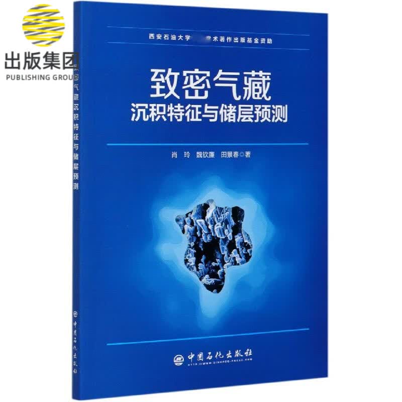 致密气藏沉积特征与储层预测