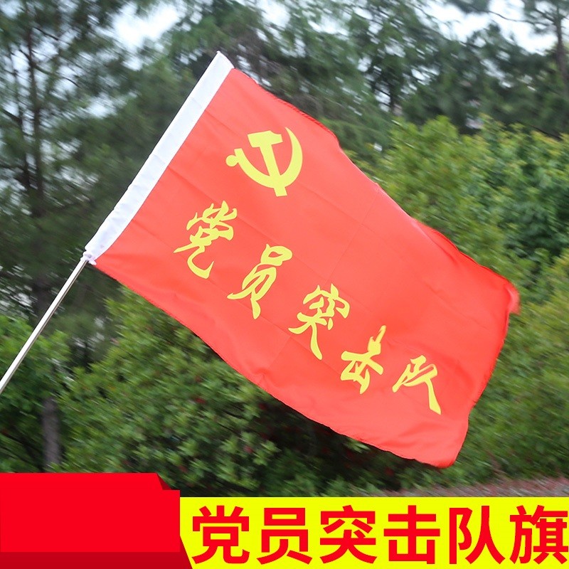 卓玛诗雅 志愿者旗帜订做青年突击队党员先锋队团建工人先锋号公益旗