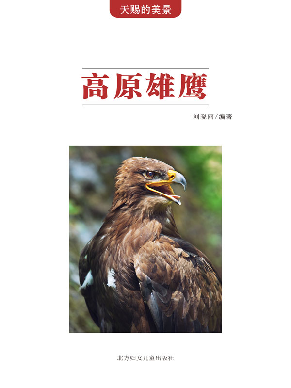 天赐的美景:高原雄鹰(推荐pc阅读)
