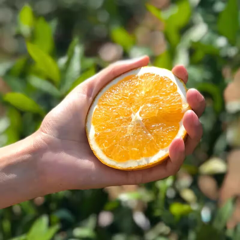 正宗湖南郴州永兴冰糖橙 新鲜橙当季水果礼盒 产地直发 坏果包赔 10斤大果(单果65-75mm)