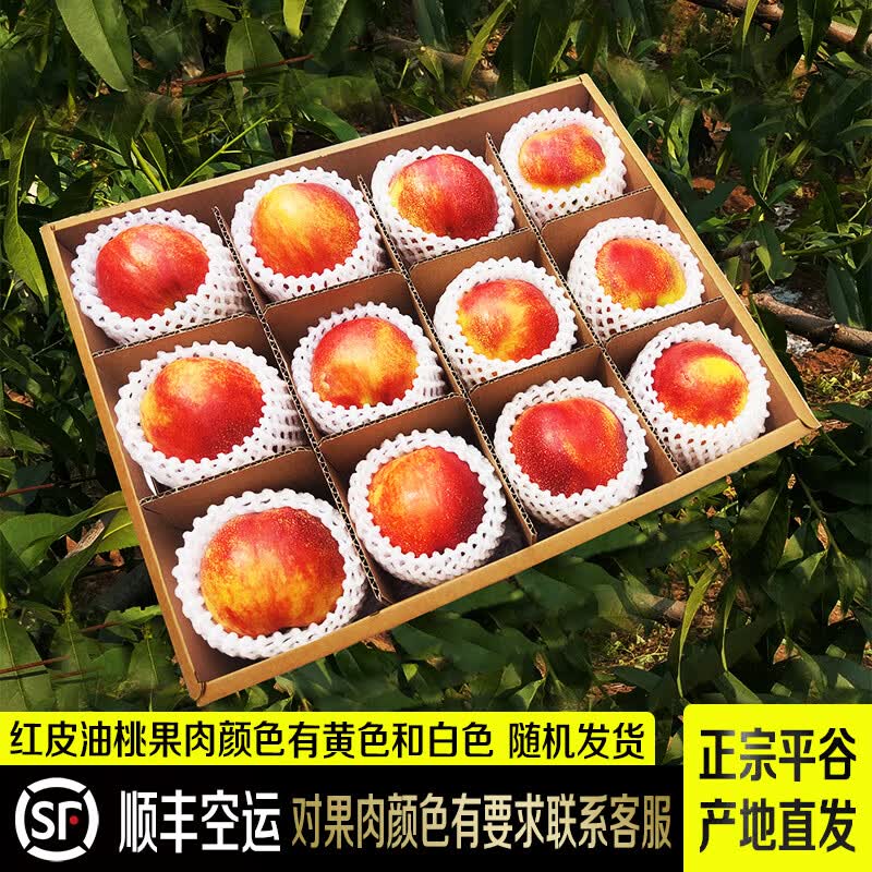 禾人平谷桃子 平谷桃 平谷鲜桃 生鲜水果 产地直发 油桃平谷油桃【24