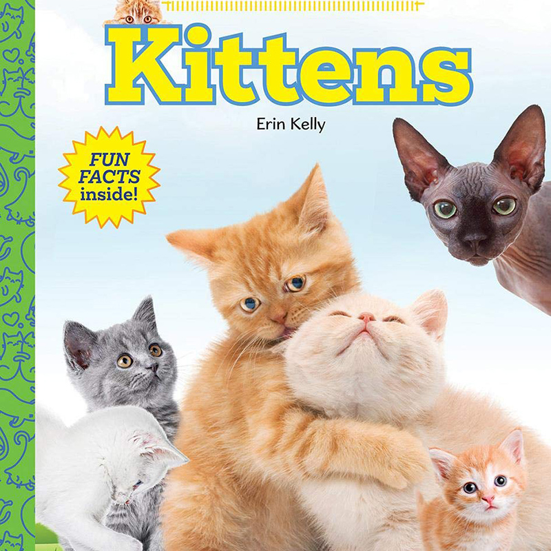 预订英文原版 kittens 小猫 幼儿早教亲子互动问答