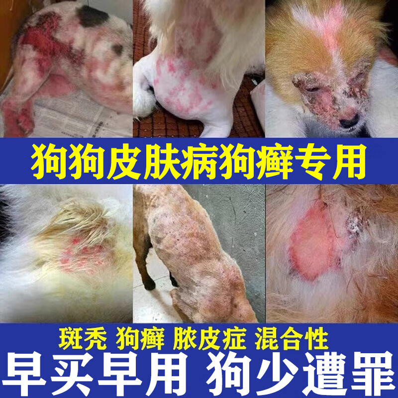 狗狗皮肤病外用狗身上长癣真菌感染脱毛螨虫皮炎狗藓宠物专用喷剂 一