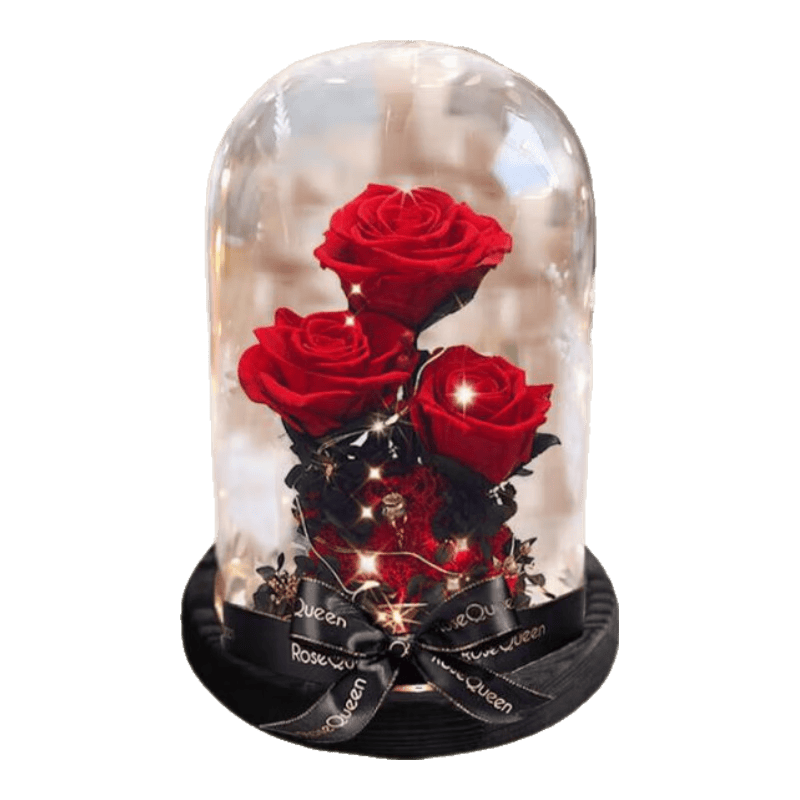 倍呵32朵永生花玫瑰花38妇女节礼物送妈妈老婆手工创意礼品 肥皂花/33朵女生生日礼物送女朋友老婆高档高级感