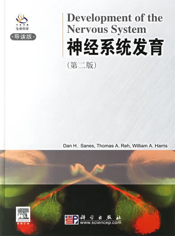神经系统发育【正版图书，放心购买】