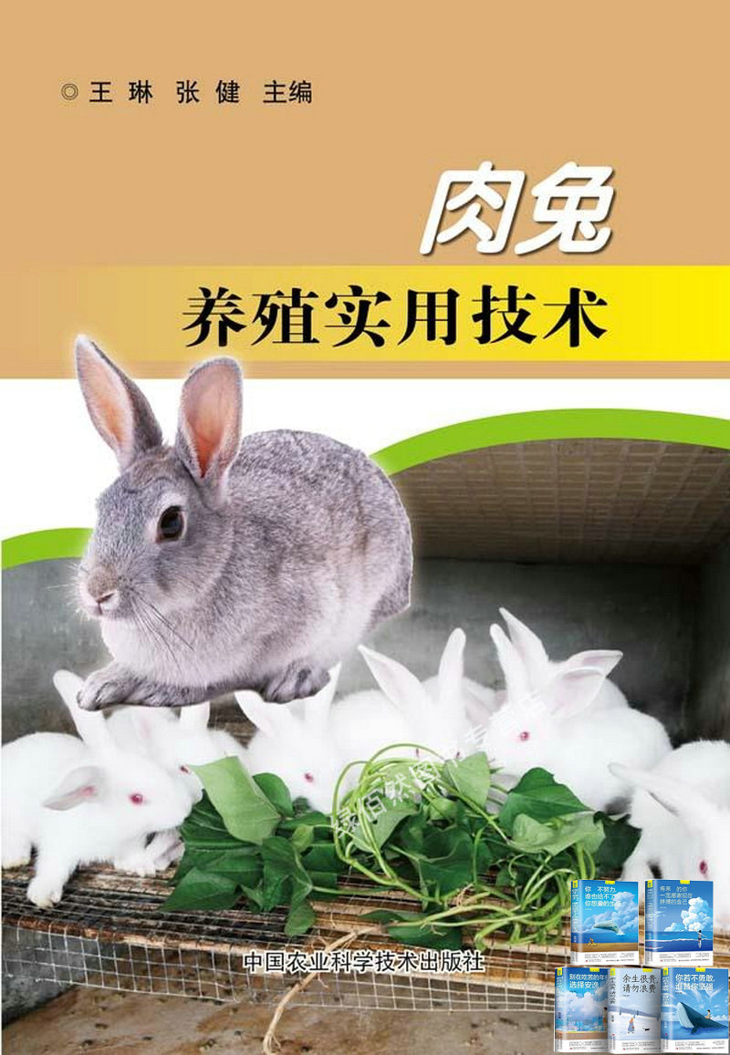 肉兔养殖实用技术